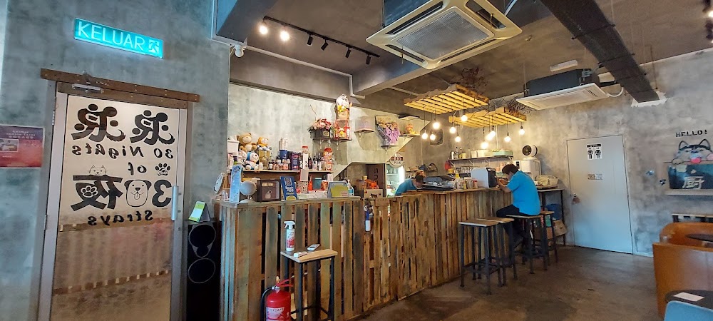 30 Nights of Stray Dog Adoption Cafe